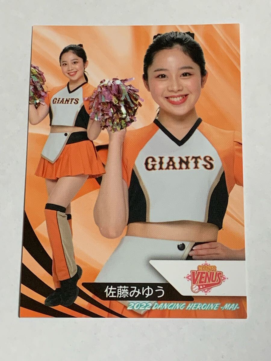 佐藤みゆう 2022 BBM チアリーダー 舞 #25 巨人 VENUS 即決拍卖