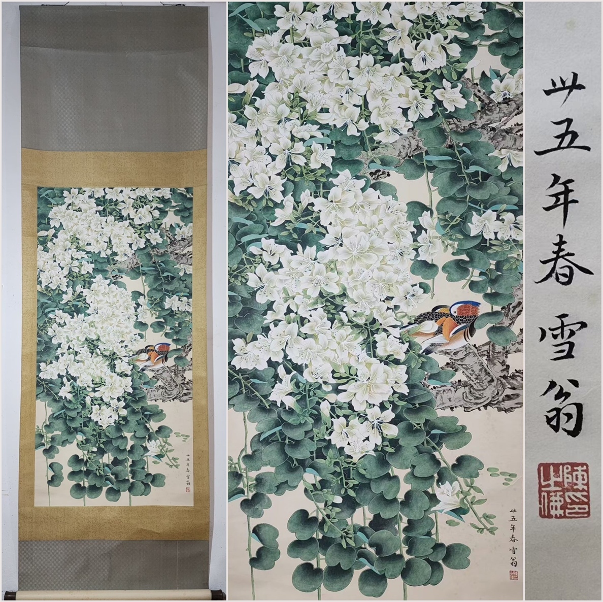 古美術 掛け軸 中国・近現代 「陳之仏書」 紙本 【花鳥図】 立軸 書道 巻き物 肉筆保証 唐物 古画 画心128x63.5cm LT-250328拍卖