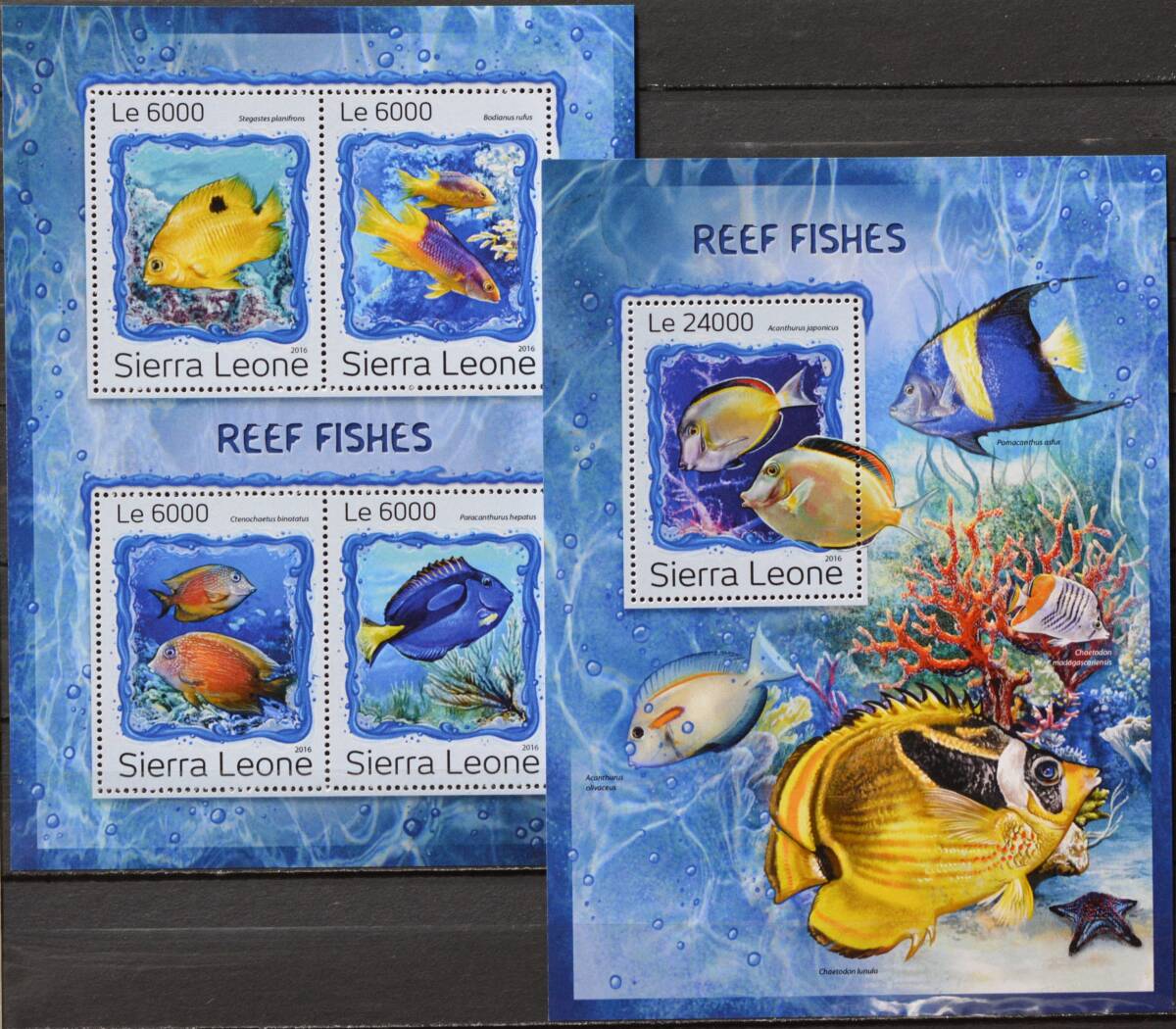 「TE258」シエラレオネ切手 2016年 さかな拍卖