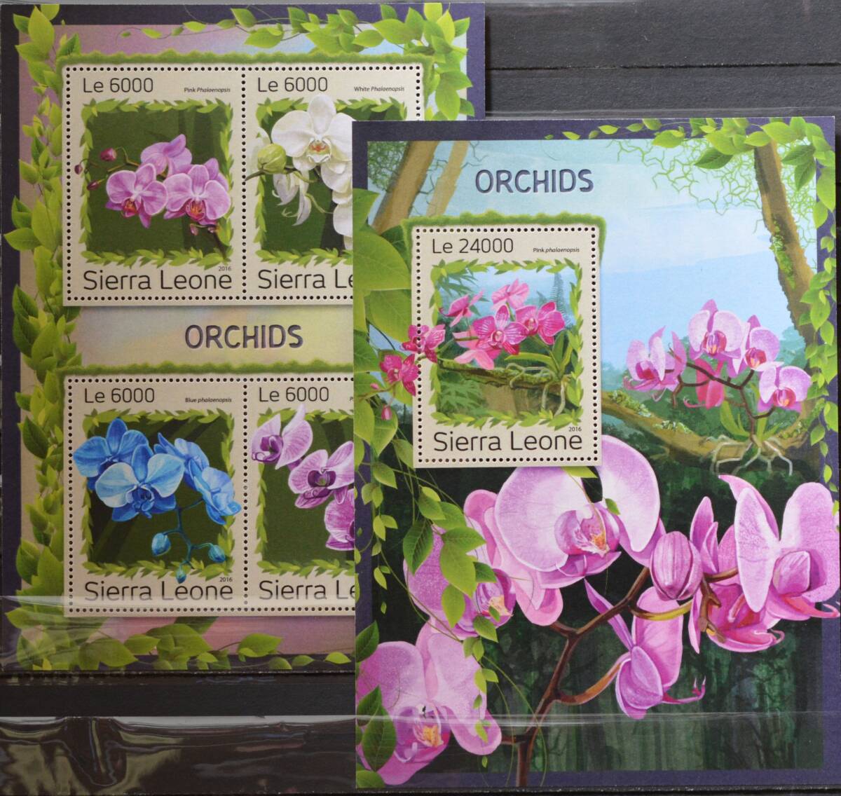 「TE143」シエラレオネ切手 2016年 花拍卖