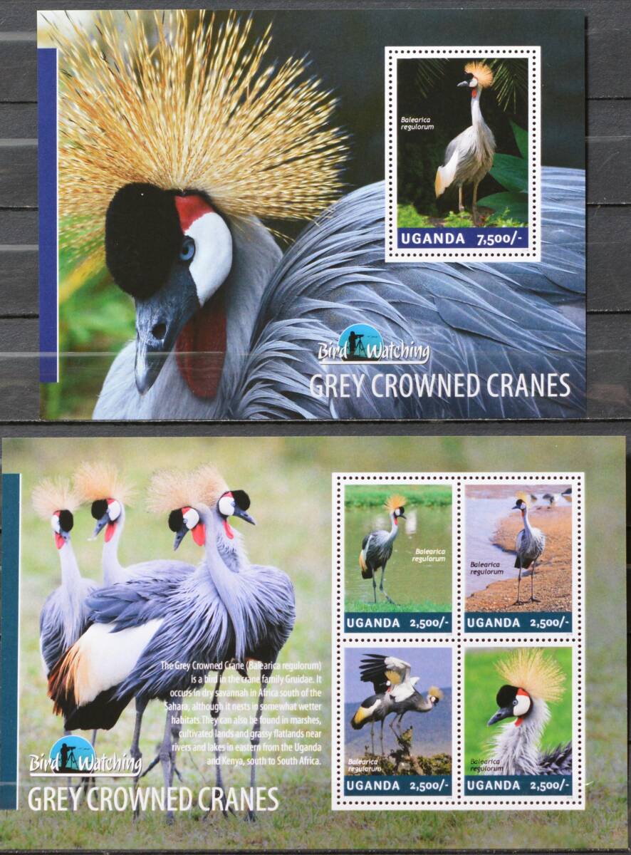 「FO17」ウガンダ切手 2014年 鳥拍卖