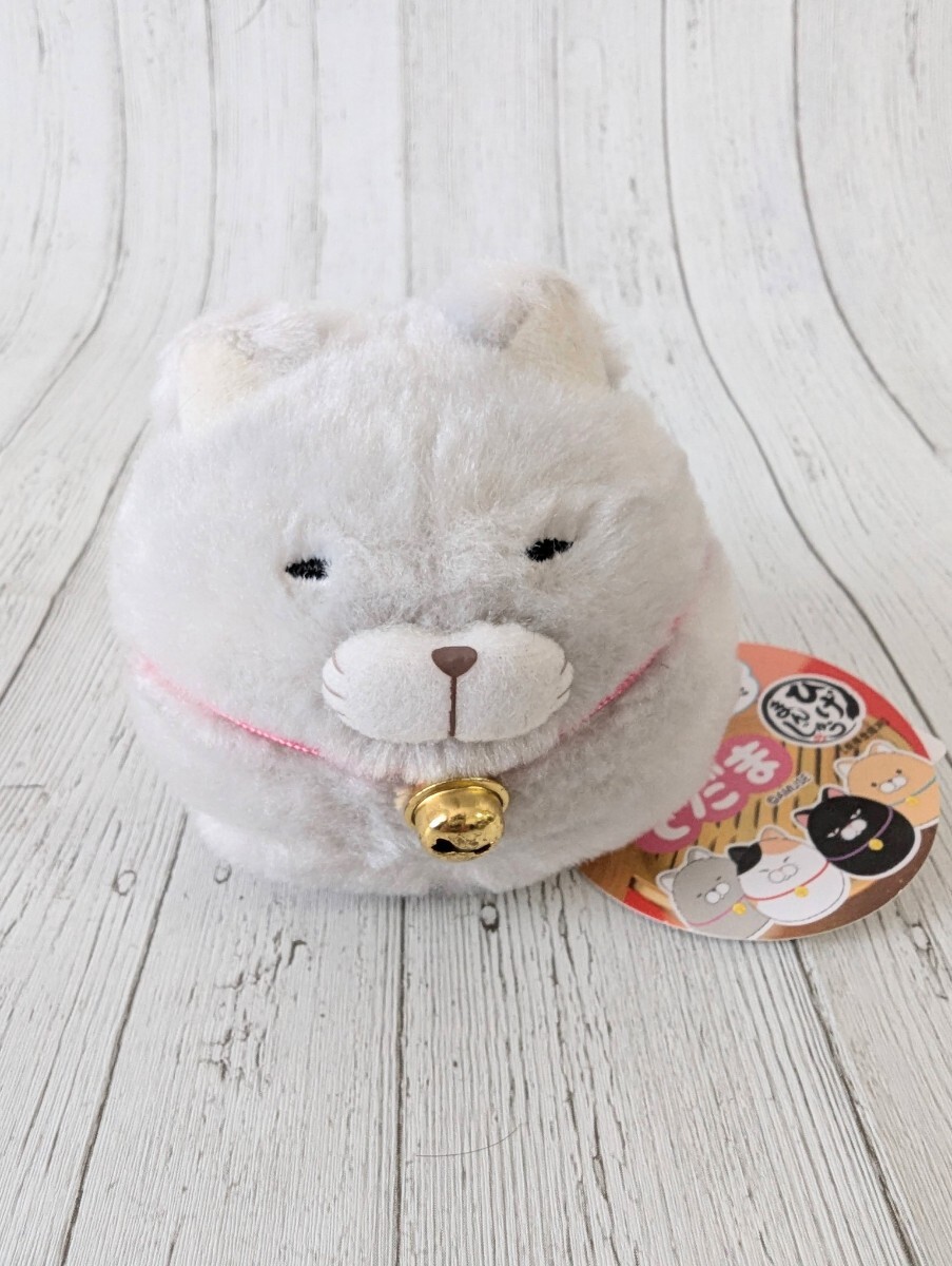 ひげまんじゅう あみゅてだま ほとけ アミューズ 猫 ネコ ぬいぐるみ拍卖