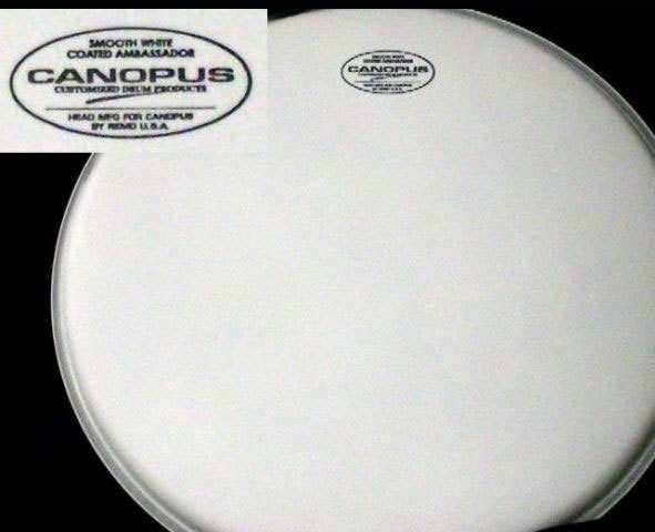 CANOPUS カノウプス ドラムヘッド COATED REGULAR 22BD CB22RB/B拍卖