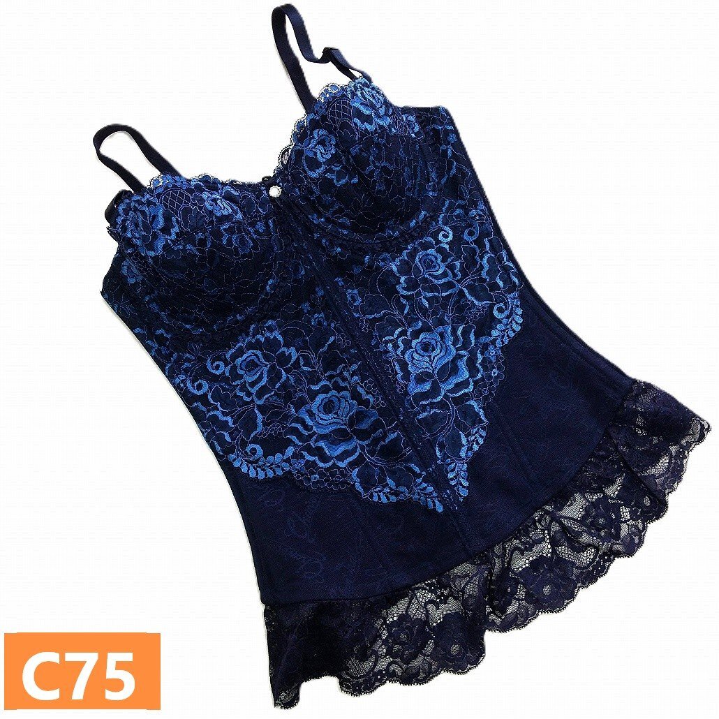 シャンデール スリーインワン C75 サファイアブルー 新品未使用 サンプル 補正 補整 バストアップ ウエスト補整 ネイビー 日本製 s833拍卖