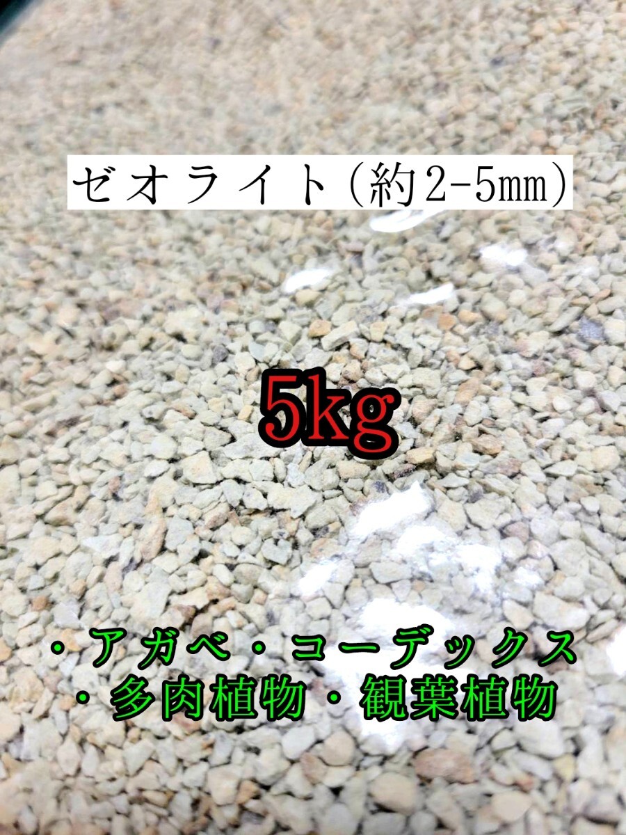 高品質ゼオライト5kg 根腐れ防止 土壌改良 テラリウム 多肉植物 サボテン 観葉植物 魂根植物 アクアリウム 水耕栽培 砂利拍卖