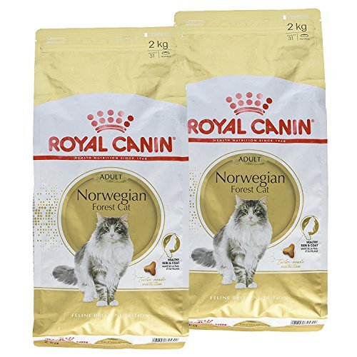 ロイヤルカナン FBN ノルウェージャンフォレストキャット 成猫用 2kg ×2袋セット拍卖