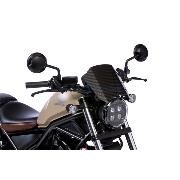 MORIWAKI モリワキ 06130-201S7-A0 REBEL 250/500 20- METER VISOR KIT CF 綾織拍卖