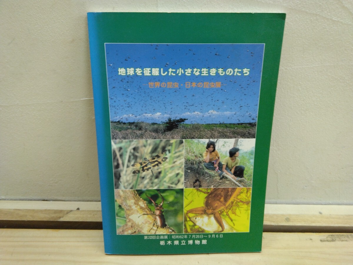 L9C◆『図録 地球を征服した小さな生きものたち-世界の昆虫 日本の昆虫展 / 栃木県立博物館 1987年初版本 ダイオウヒラタクワガタ』250303拍卖