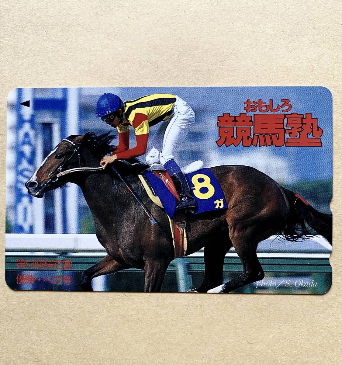 【未使用】 競馬テレカ 50度 ベガ 武豊 第53回桜花賞 おもしろ競馬塾拍卖