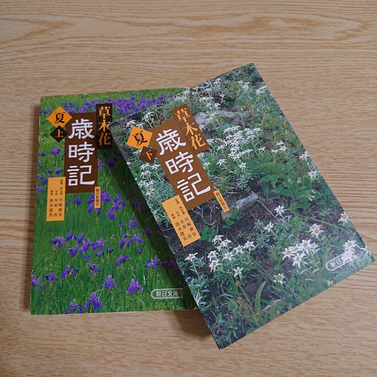 草木花歳時記 夏上下巻2冊セット (朝日文庫 あ4-108) 朝日新聞社/編 川崎展宏/監修 木原浩/監修 清水建美/監修拍卖
