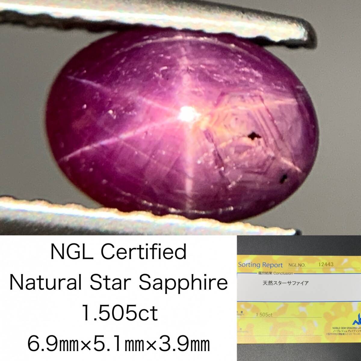 スターサファイア 1.505ct 宝石ソーティング付き 6.9×5.1×3.9 ルース( 裸石 ) 2717Y拍卖