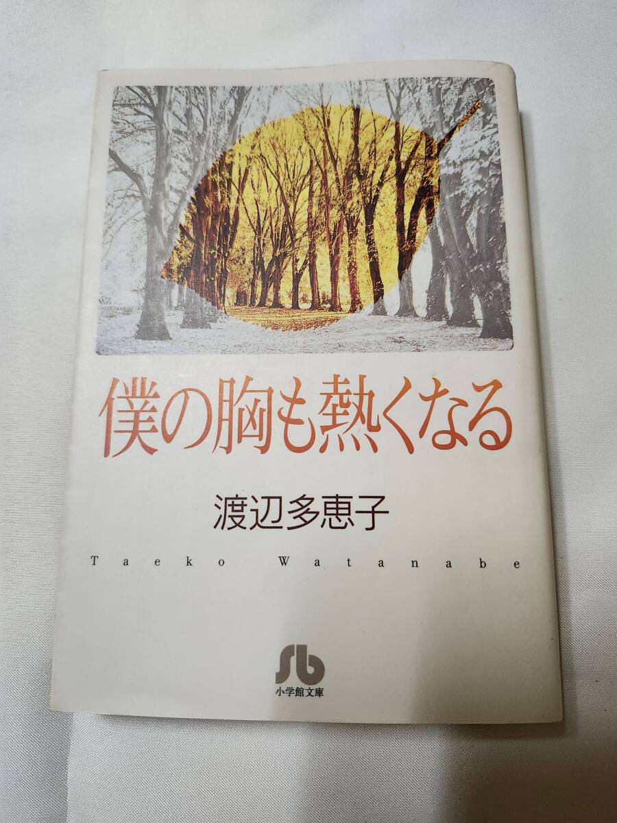 「僕の胸も熱くなる」渡辺多恵子 小学館文庫拍卖