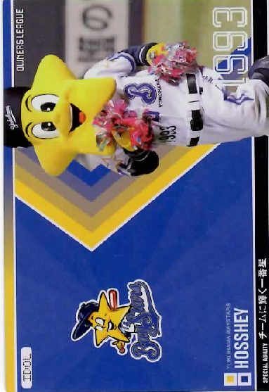 オーナーズリーグ08 アイドルカード(マスコット) IDホッシー 横浜ベイスターズ拍卖