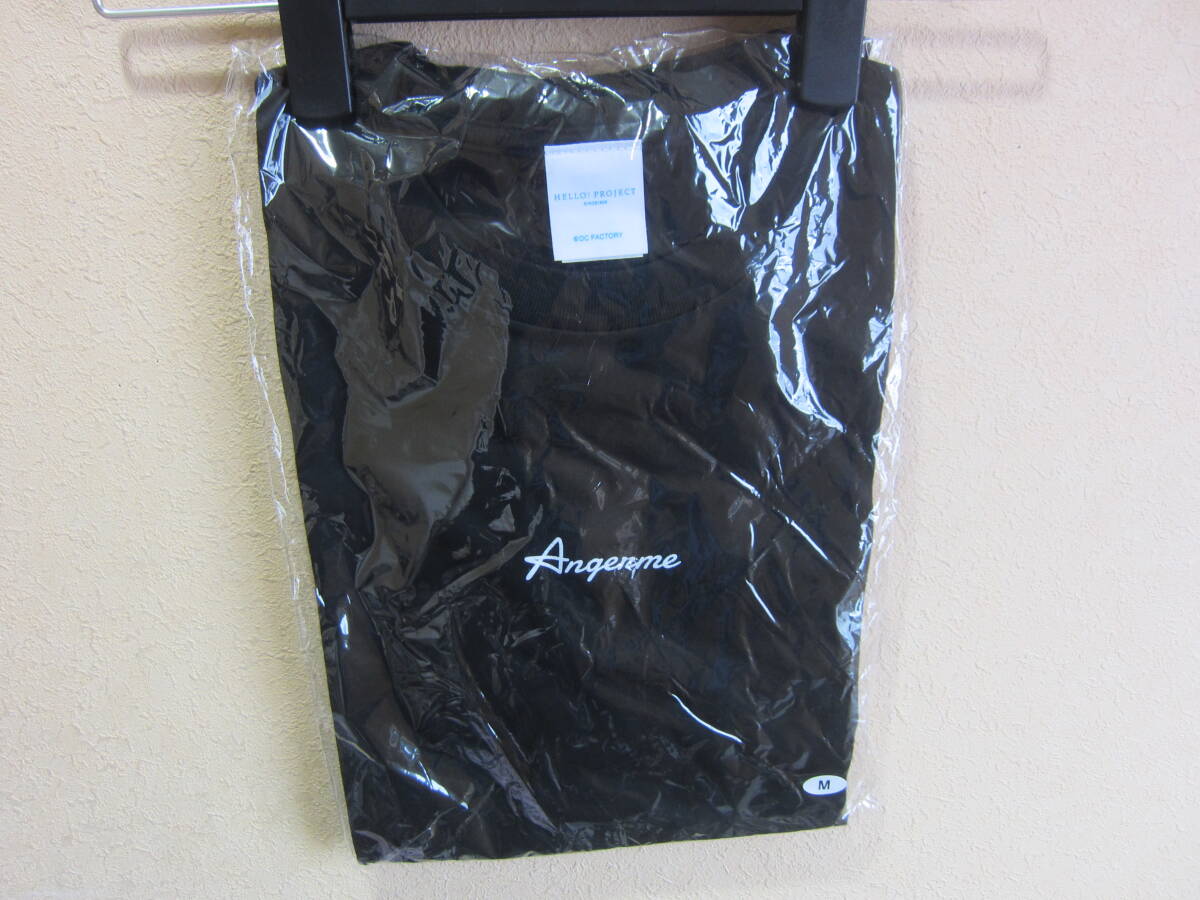 新品 アンジュルム ANGERME コンサートツアー 2023秋 11人のアンジュルム Tシャツ バンドT ハロプロ タ2653拍卖