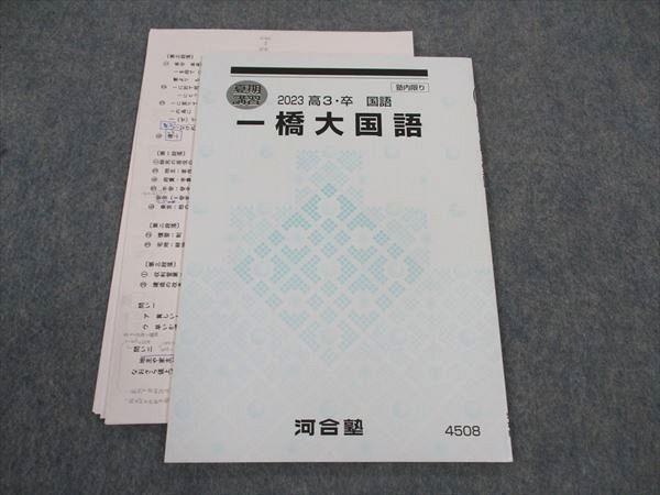 河合塾 一橋大国語 テキスト 2023 夏期講習 ☆ 005s0D拍卖