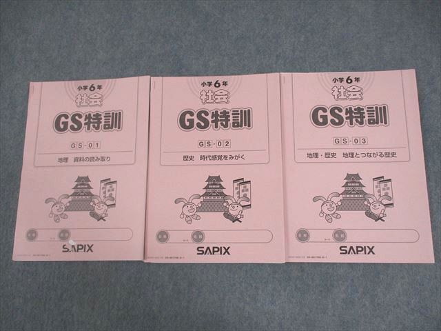 SAPIX 小6 社会 GS特訓 GS-01~03 2020年度版 計3冊 ☆ 008s2D拍卖