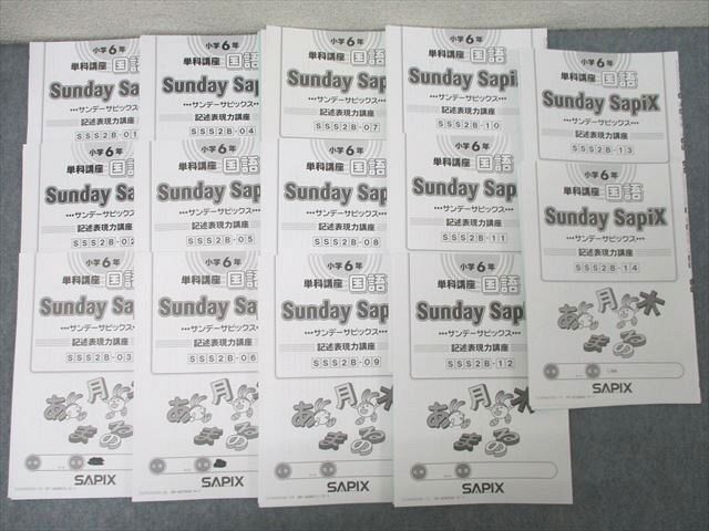 SAPIX 小学6年 単科講座 国語 サンデーサピックス 記述表現力講座 SSS2B-01~14 計14回分セット 2022 ☆ 051M2D拍卖