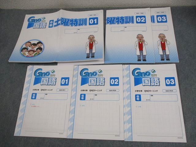 Gnoble グノーブル 小6 国語 土曜特訓/GNOラーニング 2023 計6冊 ☆ 030S2D拍卖