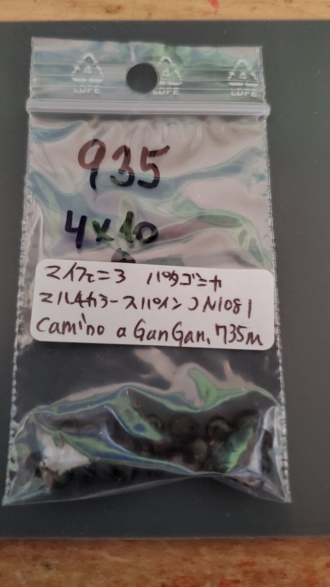 マイフェニア パタゴニカ マルチカラースパイン JN1081 種子5粒拍卖