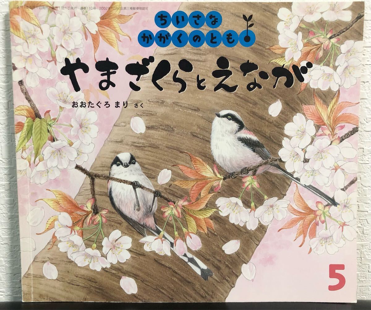 ◆当時物・絶版・希少本◆ やまざくらとえなが ちいさなかがくのとも おおたぐろまり 福音館 2011年 拍卖