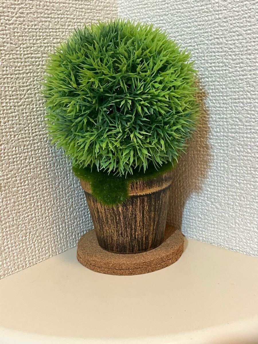 観葉植物資材 リアル 葉物木 コースター フェイク 苔玉 モスべース 8点セット拍卖