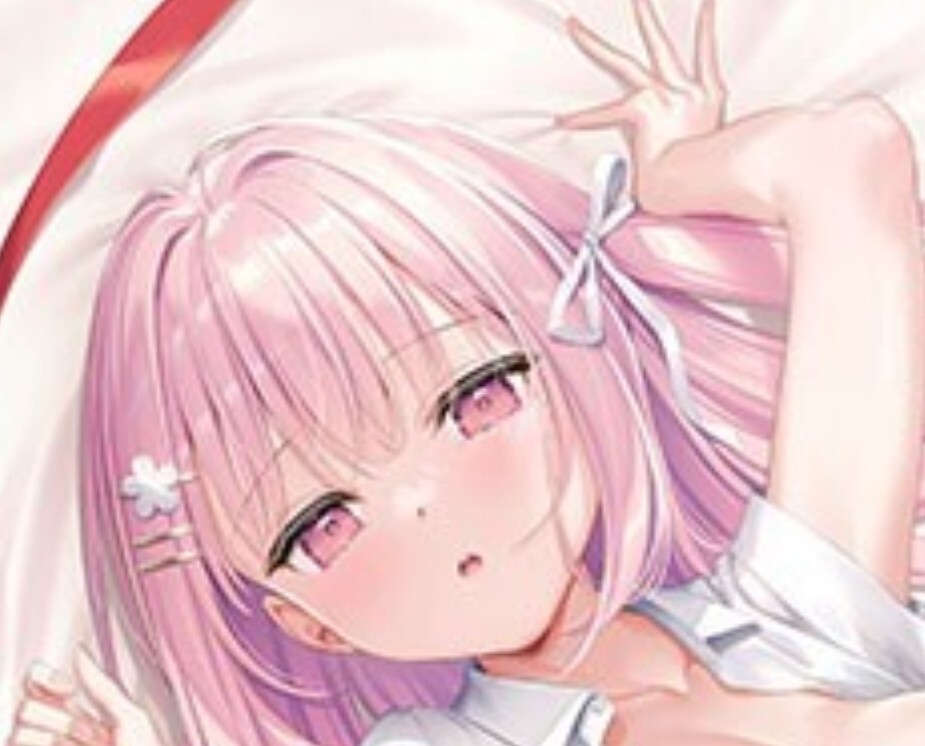宅急便送料無料 未開封 オトメ世界の歩き方 姫乃アカリ B2Wスエード タペストリー ■ゲーム ソフマップ 特典 匿名配送 拍卖