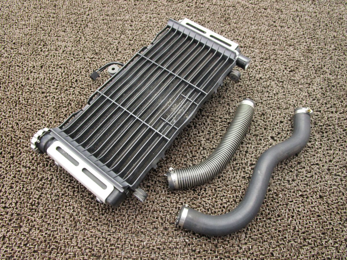 ホーネット600S ラジエター □Y492!PC34 ホンダ 【 PC25E 】 Hornet キャブ車 動画有拍卖