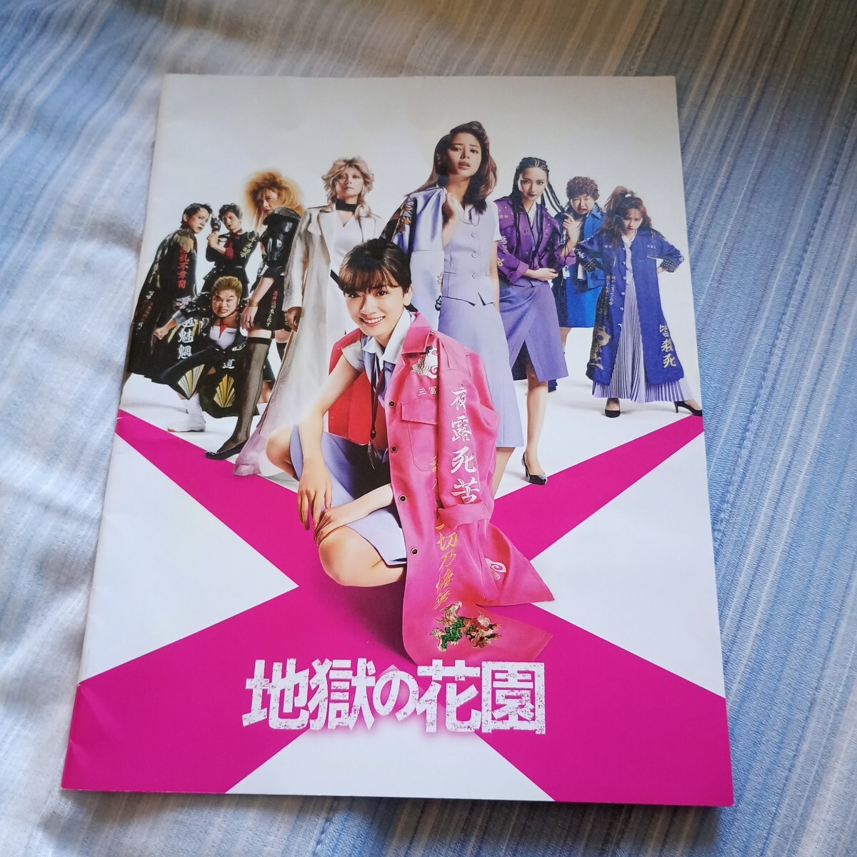 パンフレット 地獄の花園 永野芽郁 広瀬アリス 菜々緒 川栄李奈 拍卖