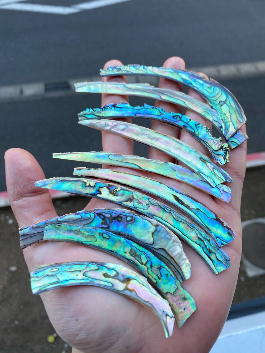 アワビ貝 アバロンシェル 10枚 螺鈿細工 ハンドメイド ハンドクラフト 素材拍卖