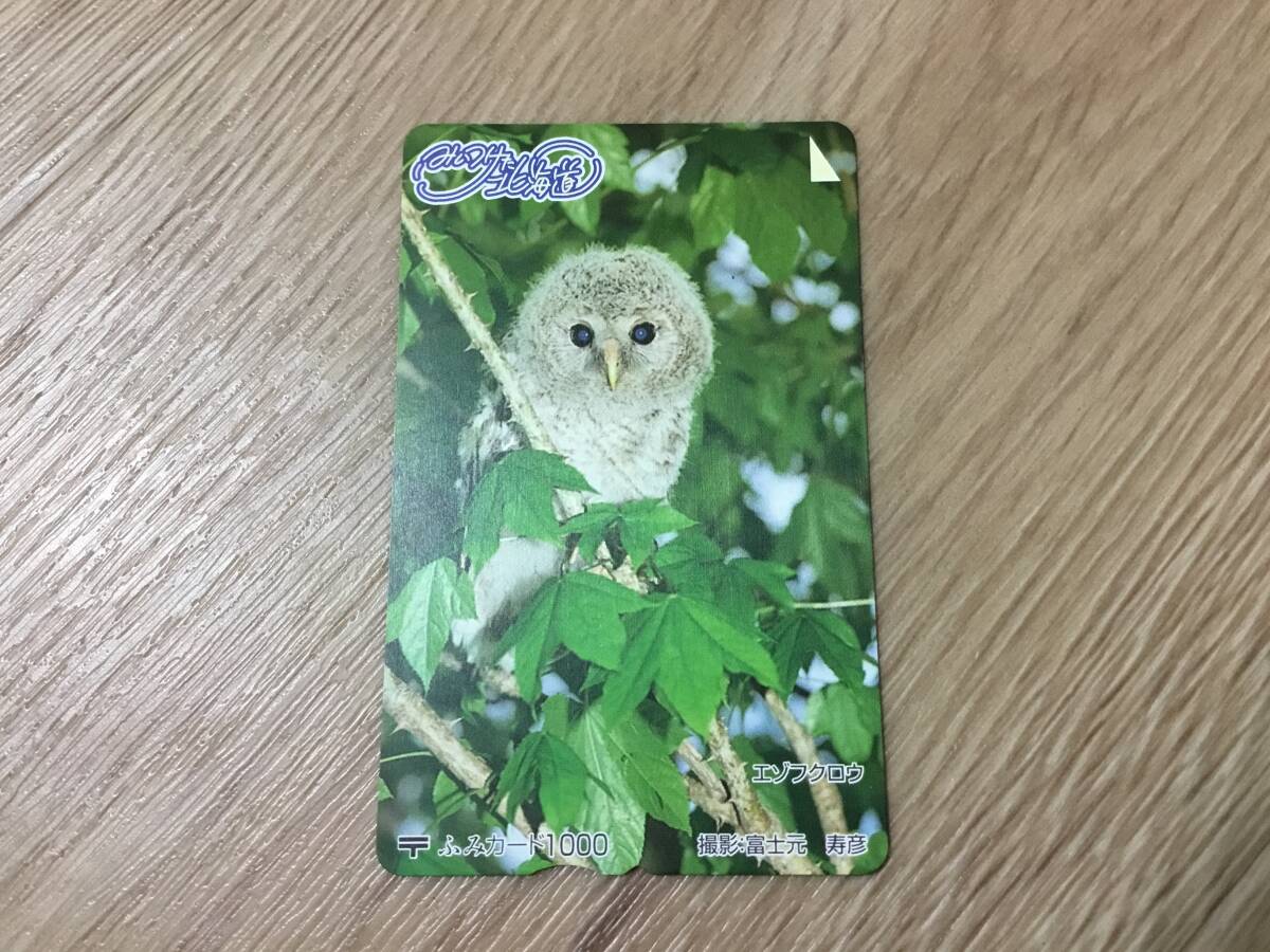 未使用 ふみカード みいつけた北海道 エゾフクロウ拍卖