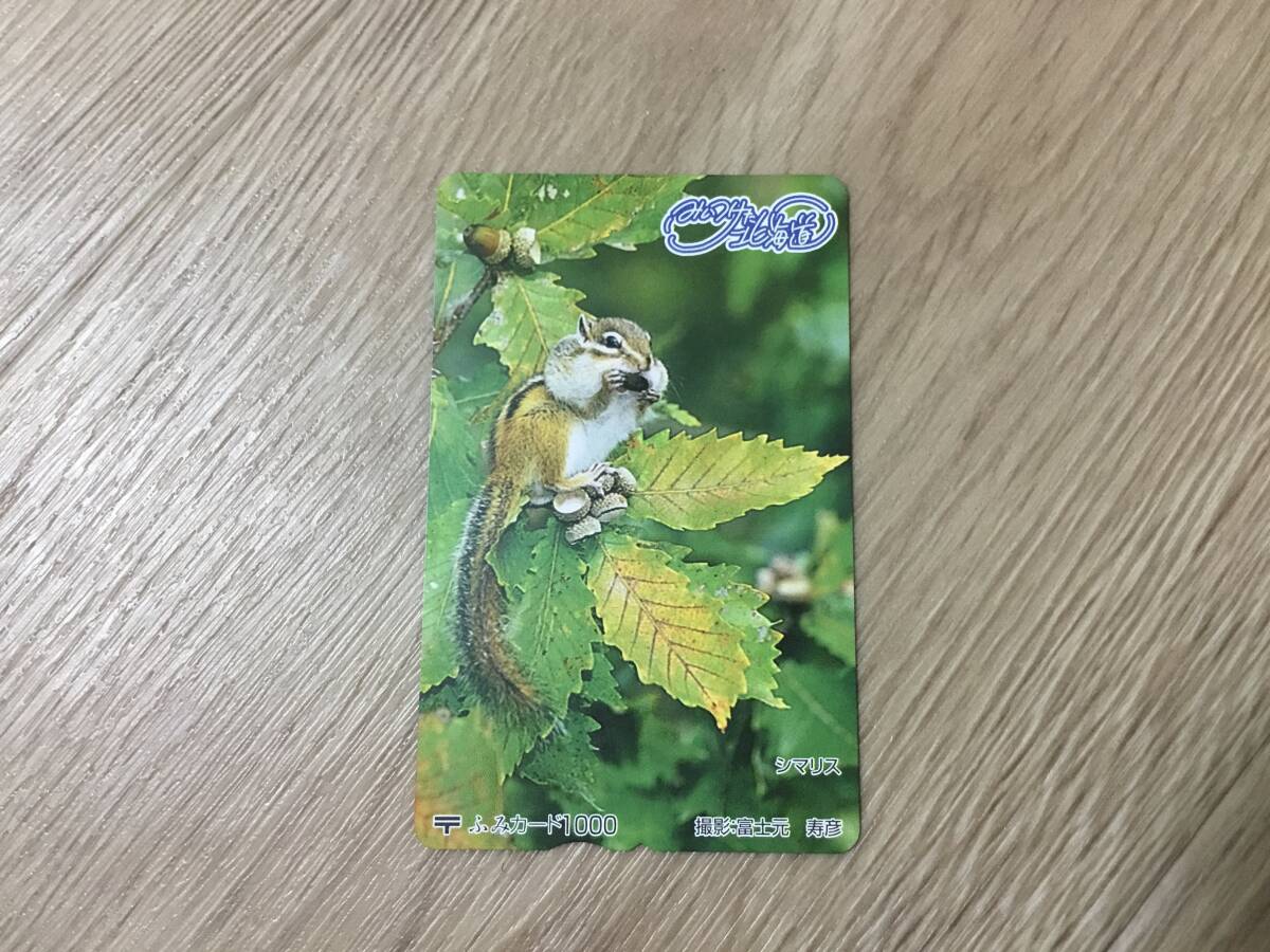 未使用 ふみカード みいつけた北海道 シマリス拍卖