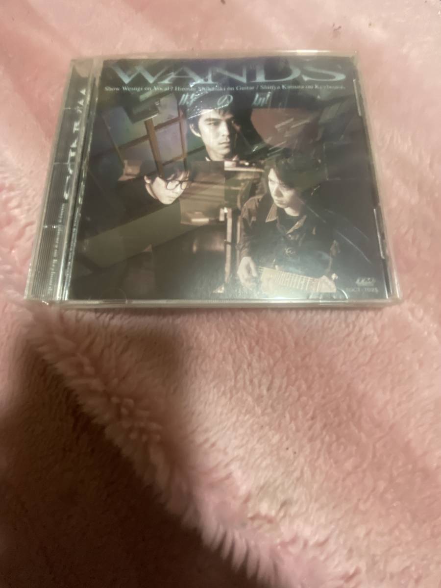 WANDS(ワンズ)アルバム CD 時の扉拍卖