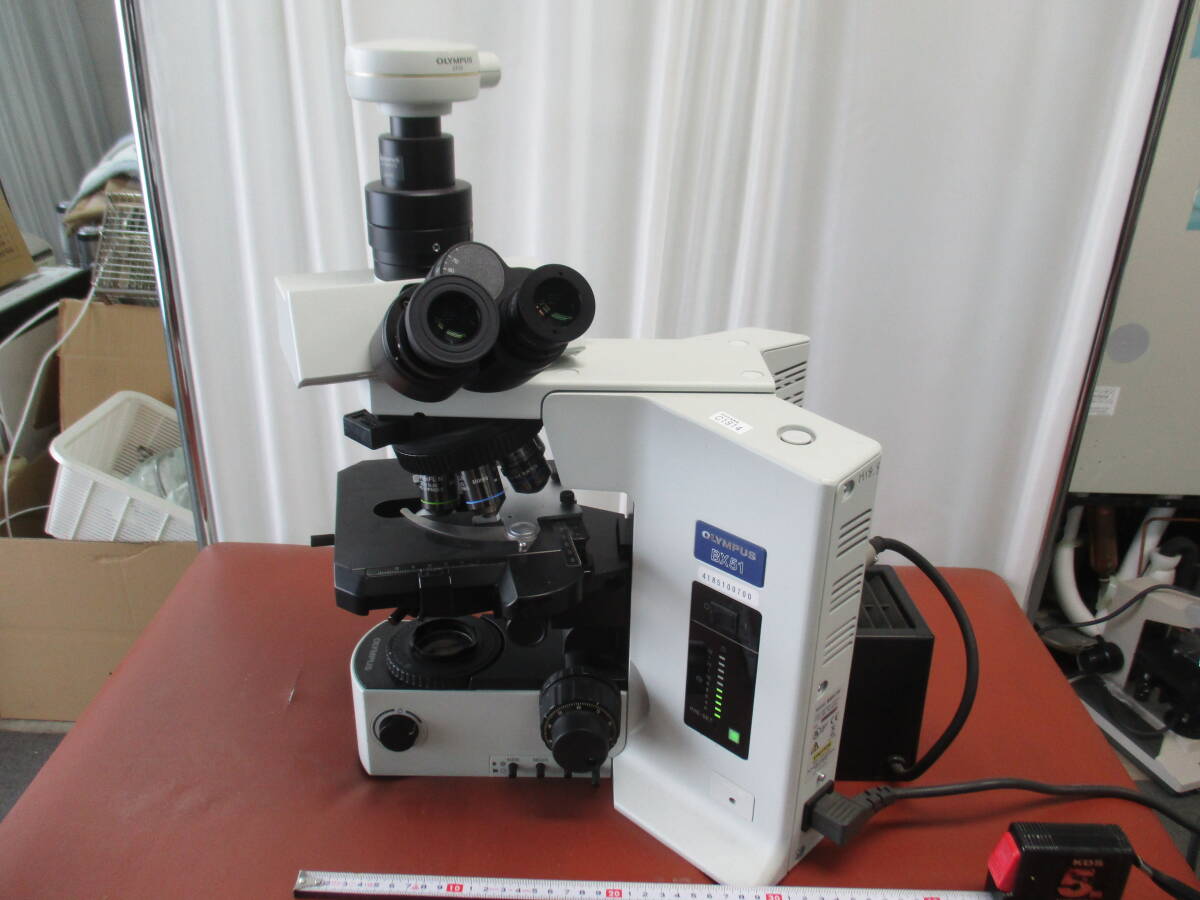 中古 OLYMPUS オリンパス 顕微鏡 BX51拍卖