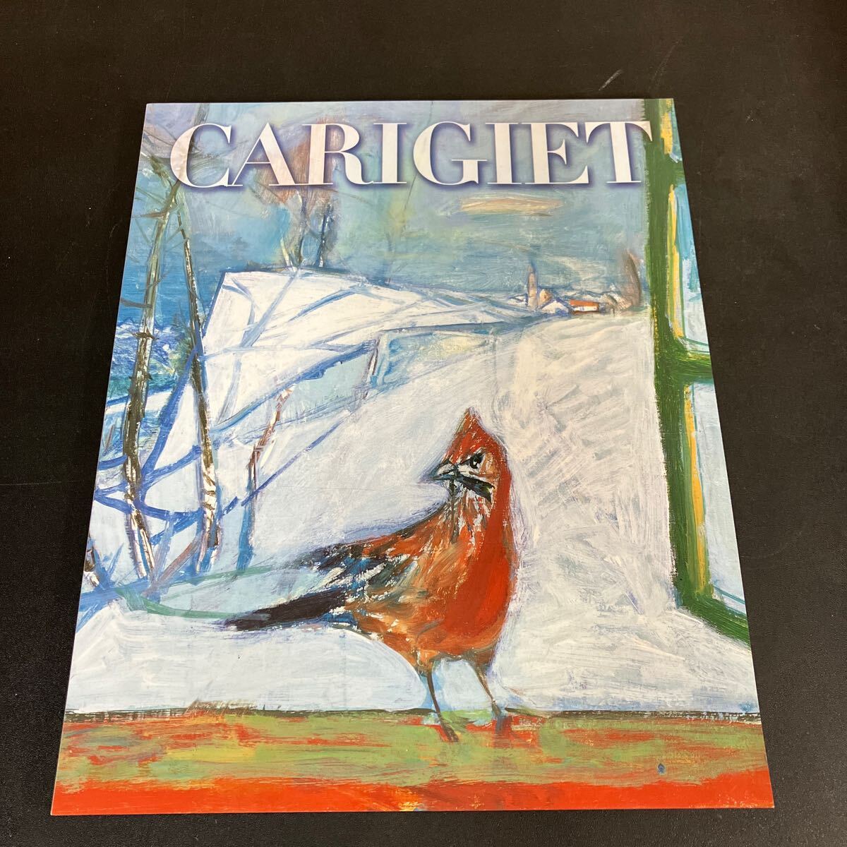 25-3-10『 アイロス・カリジェ展 CARIGIET』図録 2002年 NHKサービスセンター刊拍卖