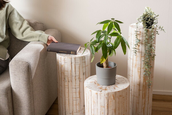 【グリーンベース】 グリーン ベース 花台 天然木 ホワイト ナチュラル プランターベース おしゃれ 観葉植物 インテリア 造花 ガーデン拍卖