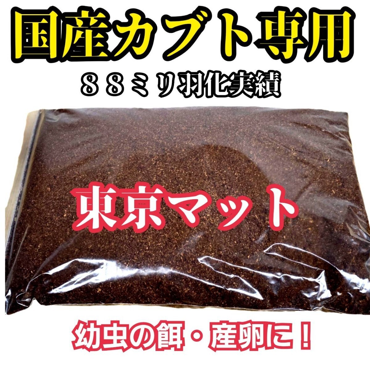 国産カブトムシを大きくする為に特化した「東京スペシャル発酵マット」87ミリ羽化実績多数☆1頭から90個の産卵実績 雑虫がわきません!拍卖