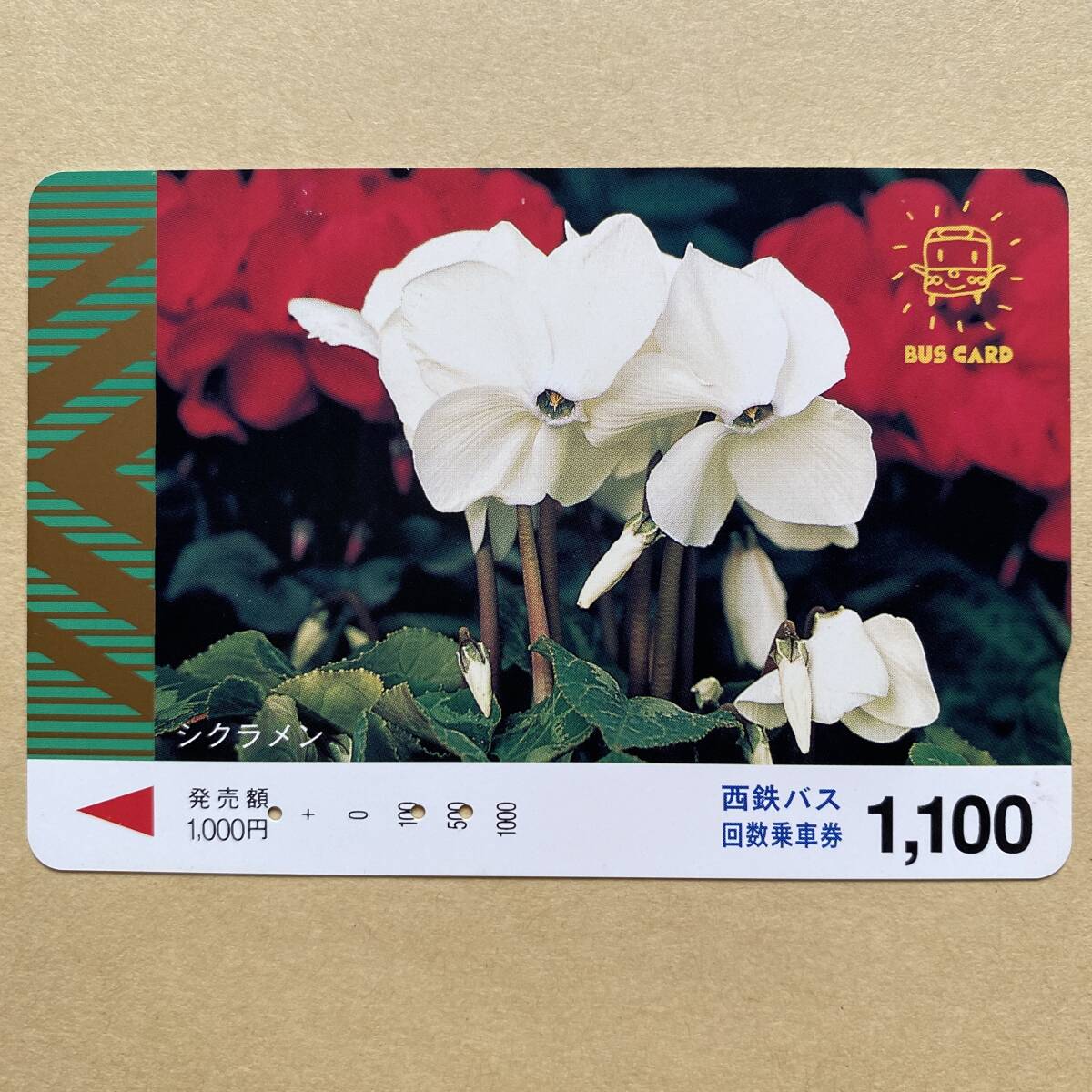 【使用済】 花バスカード 西鉄バス シクラメン拍卖
