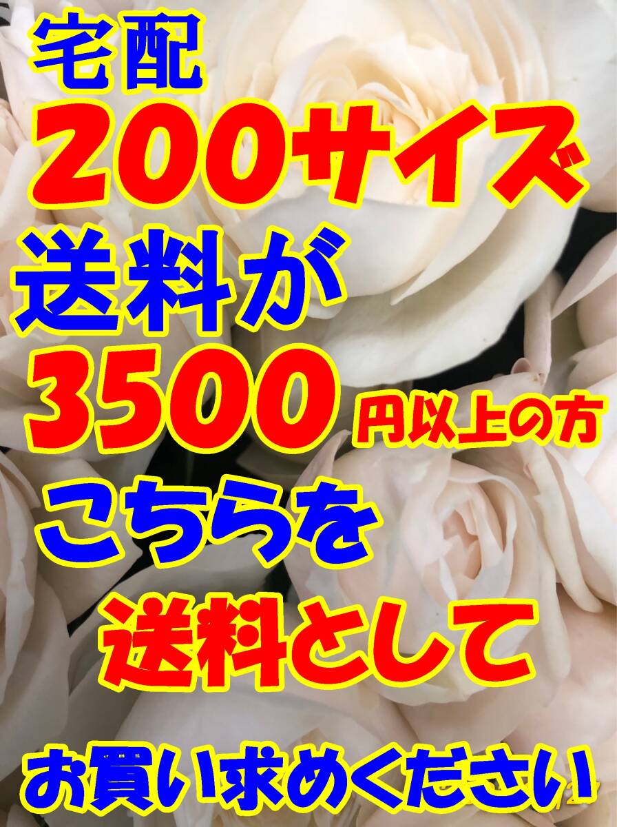送料としてお買い求めください F200 日本全国同一金額  200サイズ迄で送料が3500円以上の方ヤフネコ宅急便拍卖