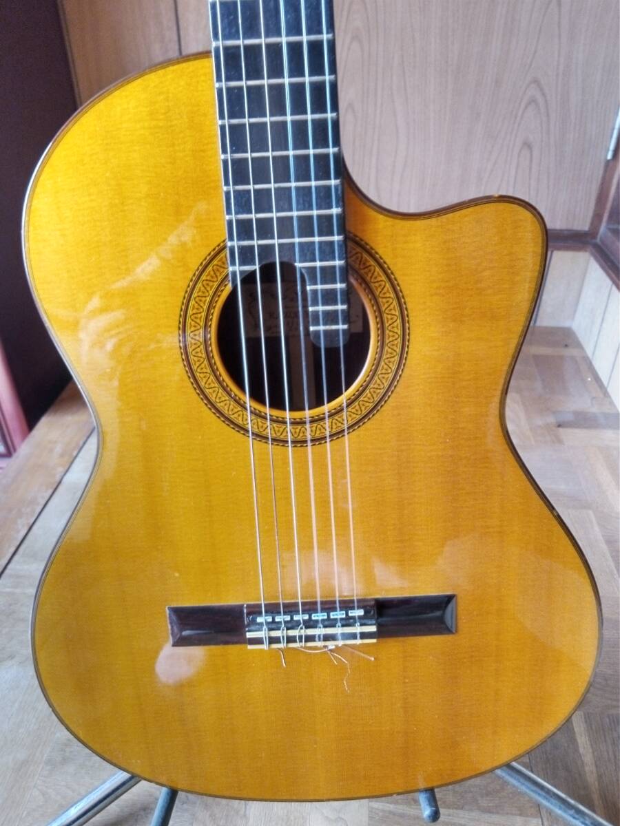 ハカランダ All 単板 K ヤイリ エレガット拍卖