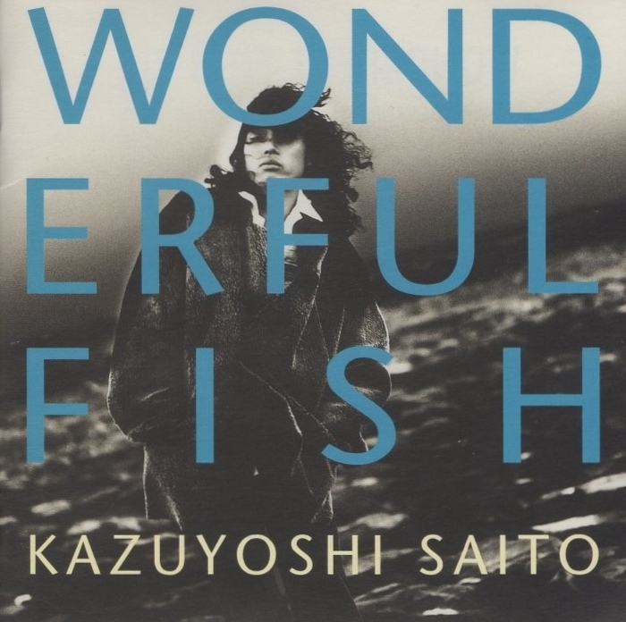 斉藤和義 / WONDERFUL FISH ワンダフル・フィッシュ / 1995.02.01 / 3rdアルバム / FHCF-2209拍卖