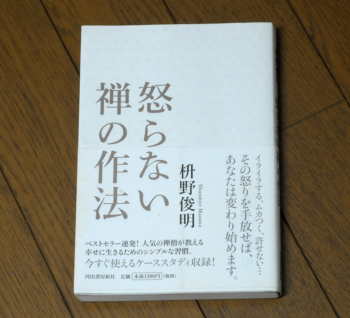 怒らない禅の作法 (河出文庫 ま14-2) 枡野俊明/著拍卖