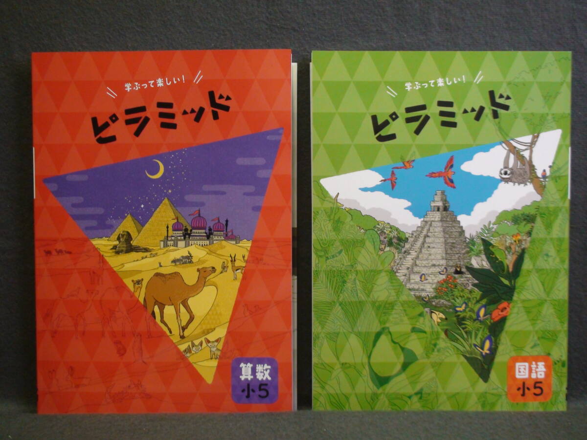 ★ 即発送 ★ 新品 最新版 ピラミッド 国語と算数 2教科セット 小5 解答・確認テスト付 5年拍卖