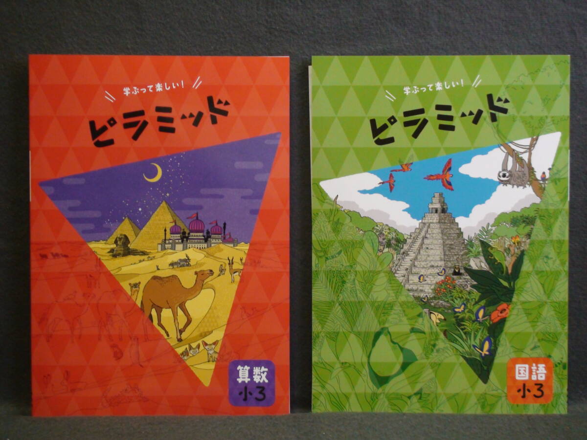 ★ 即発送 ★ 新品 最新版 ピラミッド 国語と算数 2教科セット 小3 解答・確認テスト付 3年拍卖