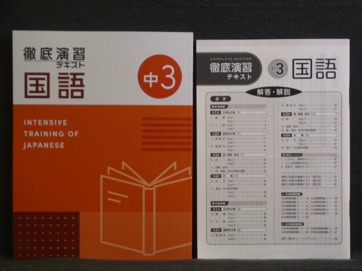★ 即発送 ★ 新品 最新版 徹底演習テキスト 国語3 解答付 2025年度~拍卖