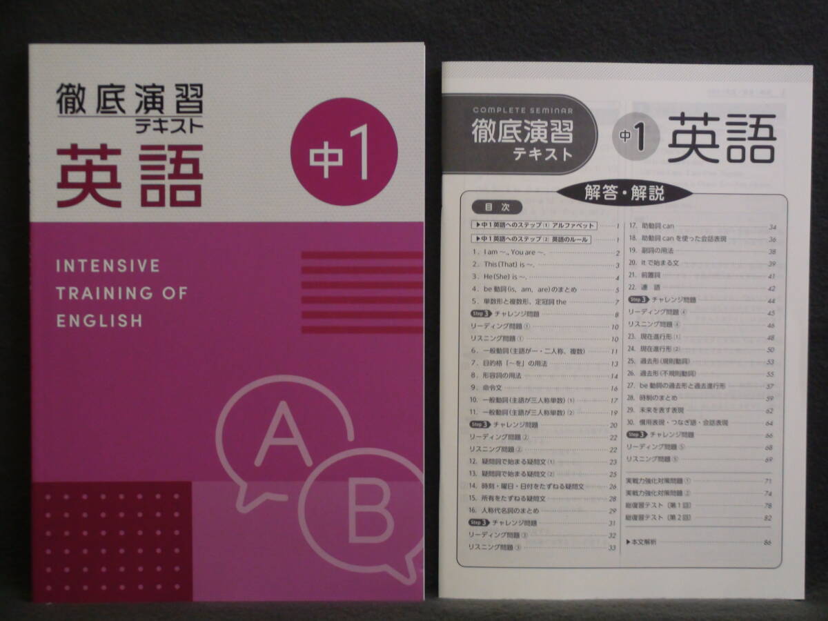 ★ 即発送 ★ 新品 最新版 徹底演習テキスト 英語1 解答付 2025年度~拍卖