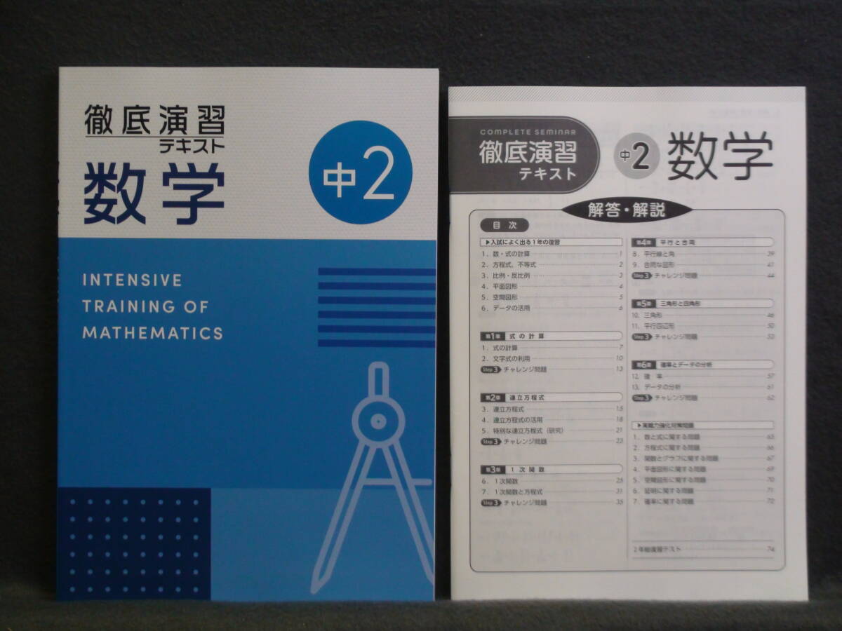 ★ 即発送 ★ 新品 最新版 徹底演習テキスト 数学2 解答付 2025年度~拍卖