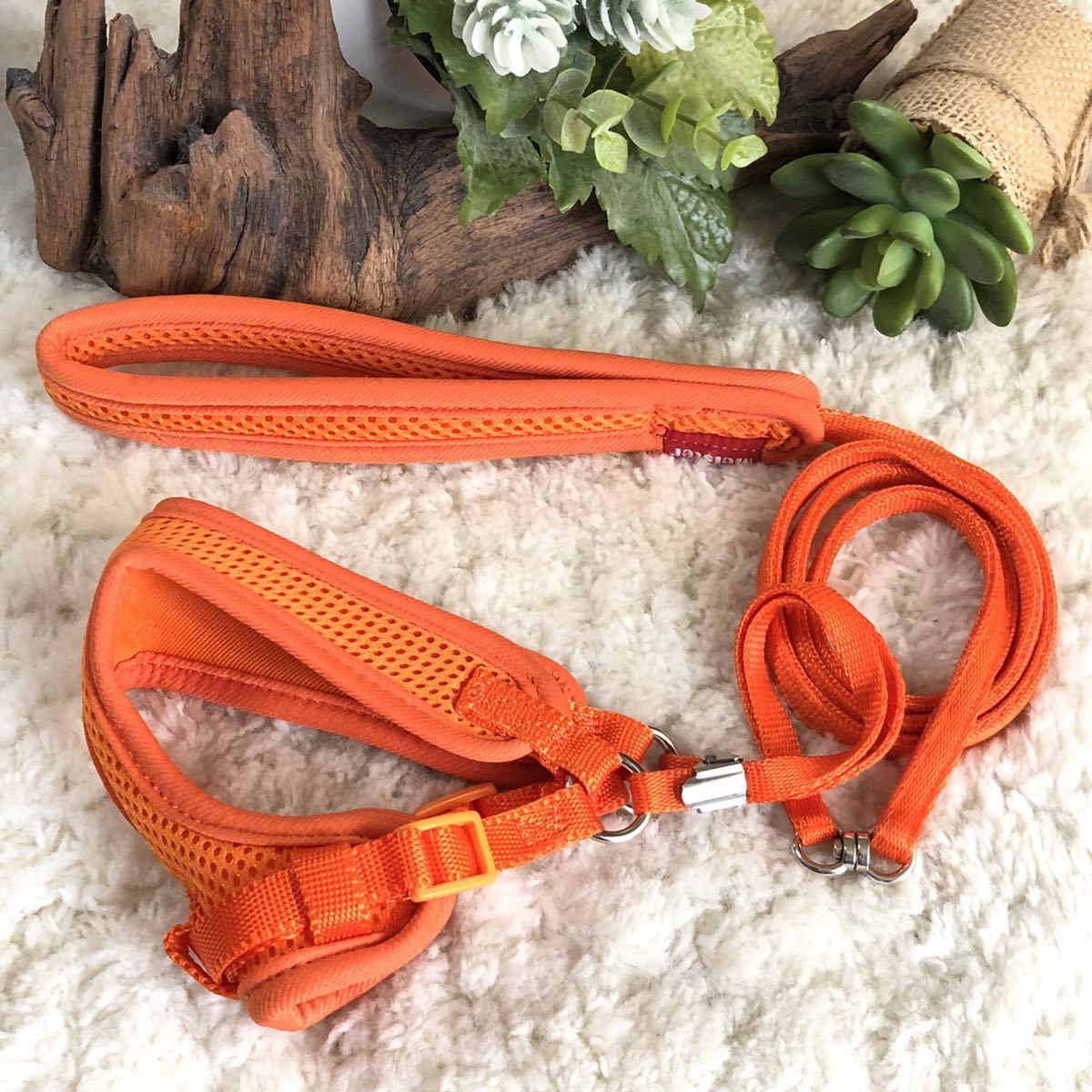 ★同梱お得★一体式胴輪・ソフティー無地・5キロ以下-No.51・オレンジ♪拍卖