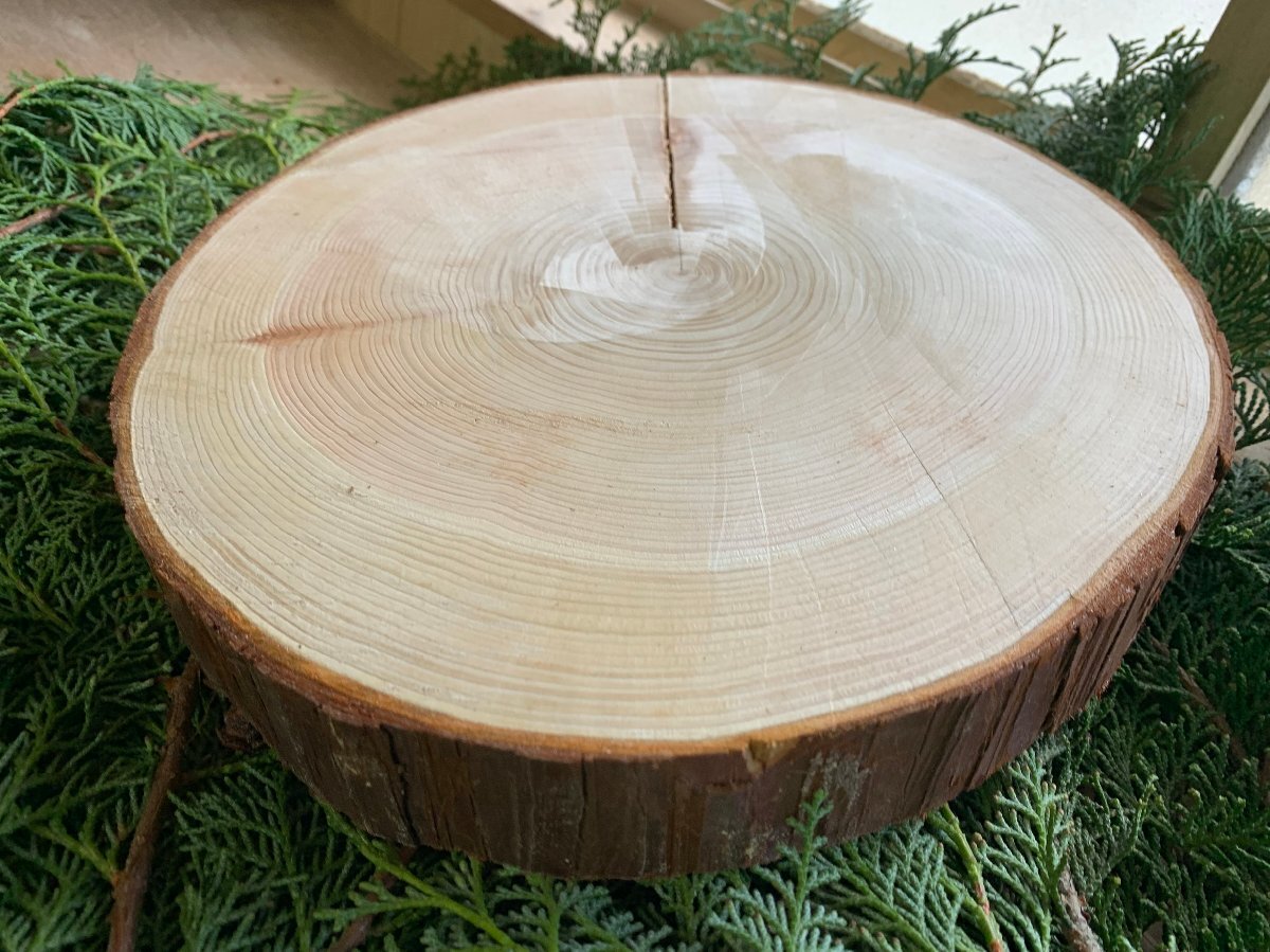 丹波ヒノキ 皮付き 直径25cm~28cm 厚さ約3cm 1枚拍卖