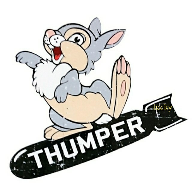 ヴィンテージ レトロ 転写 ステッカー 車 カッティングステッカー シール シート デカール ミリタリー ノーズアート B-29 装飾 luk500拍卖