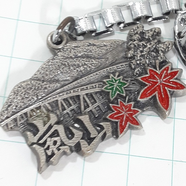 送料無料)嵐山 観光 旅行 登山 記念 キーホルダー A28584拍卖